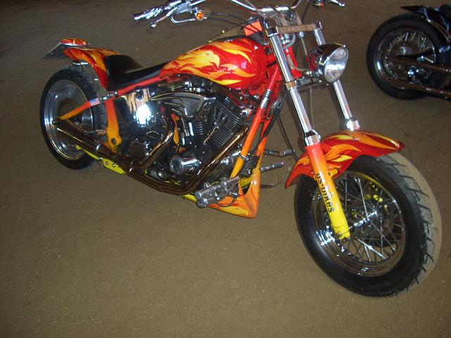 CIMG1244.JPG