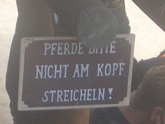 CIMG8691.JPG