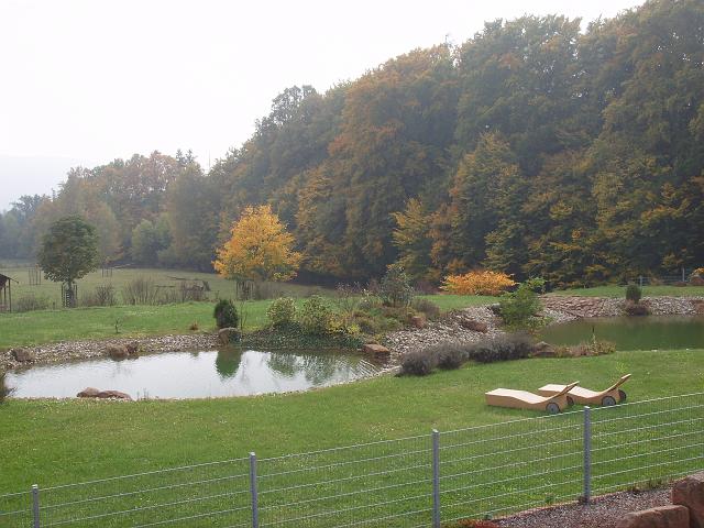 SSL11639.JPG
